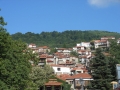 DSCN5010