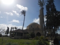 Hala Sultan Tekke14