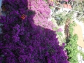 DSCN4794