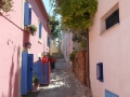 DSCN4581