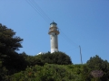 DSCN4322