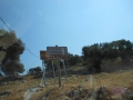DSCN4331