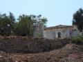 DSCN4334