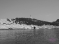 DSCN4459