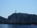 DSCN4466