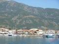 DSCN4408