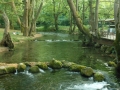 DSCN0012