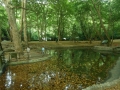 DSCN0038