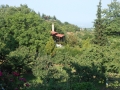 DSCN9984