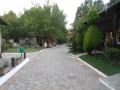 DSCN1470