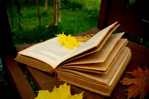 autumn_reading_by_cr1ms0n13-d3006q4