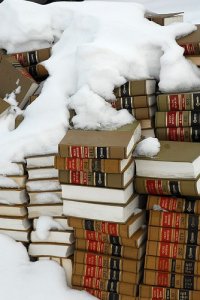 LawBooksInSnow