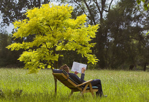 435-reading-under-tree