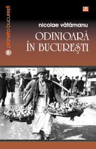 Odinioara in Bucuresti