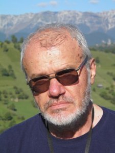 Stelian Țurlea