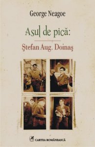 asul-de-pica-stefan-aug-doinas_1_fullsize