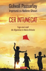 Cer intunecat