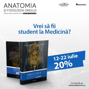 anatomia 20%