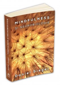 mindfulness_si_neurobiologia_persp